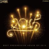 Epic T Party Best Progressive House of 2015 Hour2