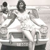 Tehrannosaurus Rex: Iran Before the 1979 Revolution