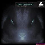 Exaltation #52 24.01.11 - VA "Tempo Syndicate" presentation by Sentimony Records