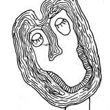 musik masalla