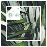 Beat Soup x AWM