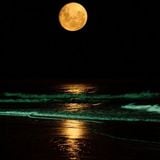 Naso pres.SUMMER MOON 2015