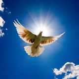 "De genadegaven van God's Geest" (deel 1) - Br. Hans Tims Bijbelstudie 11-6-2014