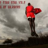 Sound of your soul vol.8