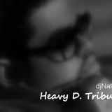 djNature Heavy D Tribute Mix