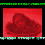 DESTROYED HUMAN PRESENTS: NINETEENNINETYKNIFE