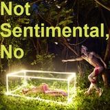 Not Sentimental, No