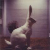Zajac_dj_set_@_Basement_Radio_Show_(18-06-2011)