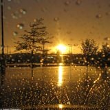 AcidD Sun & Rain