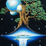 Its Trippin' 6