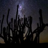 Exclusice dj set for "No More Pop |26|" - Stellar Cactus by Ilya Santana