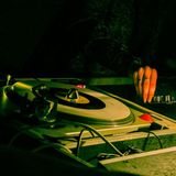 DJ Dasha Fyah - Dubforce trip to 2005 new roots