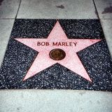 Bob Marley Homage Mix