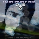 Flint Party Mix
