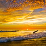 Endless Summer 2015