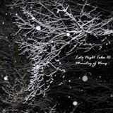 Late Night Tales 10