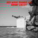 RED WAVE SOUNDS #19 MONKI VALLEY