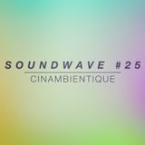 SOUNDWAVE #25