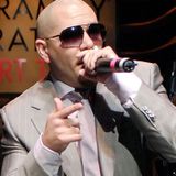 Pitbull Best Mix Plus α