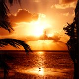 February 25th Mix