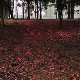 Frankfurt/Tokyo Spring Mix 2014