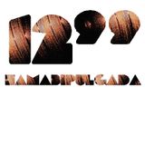 HAMABIPULGADA 07-07-2011