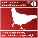 David Hooper's Disgusting Electronica - 13 Apr 09
