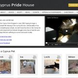 Cats & Dogs in Cyprus need help!!