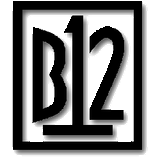 B12 Records Special Matt & Dave Tag-team