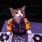 DJ Fly DiiqqiiDY New Shizz mix 2013