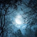Deep Moon Sesion By Trevi Tj