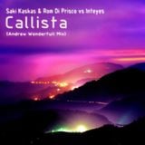 Saki Kaskas & Rom Di Prisco vs Inteyes - Callista (Andrew Wonderfull Mix)