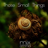 Those Small Things - Liquid Drum & Bass Mix