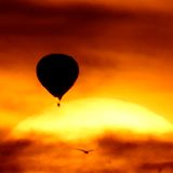 Sun Summer Sounds