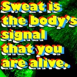 Sweat is the body's signal that you are alive (2013)