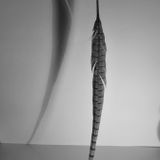 Craesmeyer - Avezar (MixCloud Mix) - 04/2012