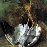 Kranich
