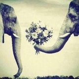 DON'T STOP THE MUSIC - for that spring feeling x <3