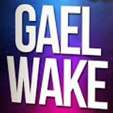 GAEL WAKE MIX HOUSSE 2015