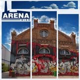 Arena Special: A Lapis_rufus & Kidsolis Synergy
