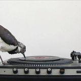 Senses Radio Show 14/04/2016