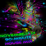 TYRiddler - November 2014 House DJ Set