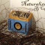 Naturalized