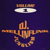 DJ Mellinfunk Junglism