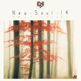 New Soul 14 : Forest Shades (CD 1)