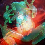 Random Vibes From The iRieFicus #9