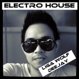 Electro House Mix By Liga Wolf DeeJay