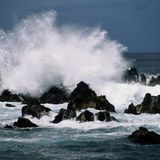 Wavvey 6