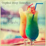 Tropical Deep Sensation - DJ Meshi Mix
