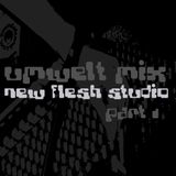 Umwelt@newfleshstudio part 01 (2005)
